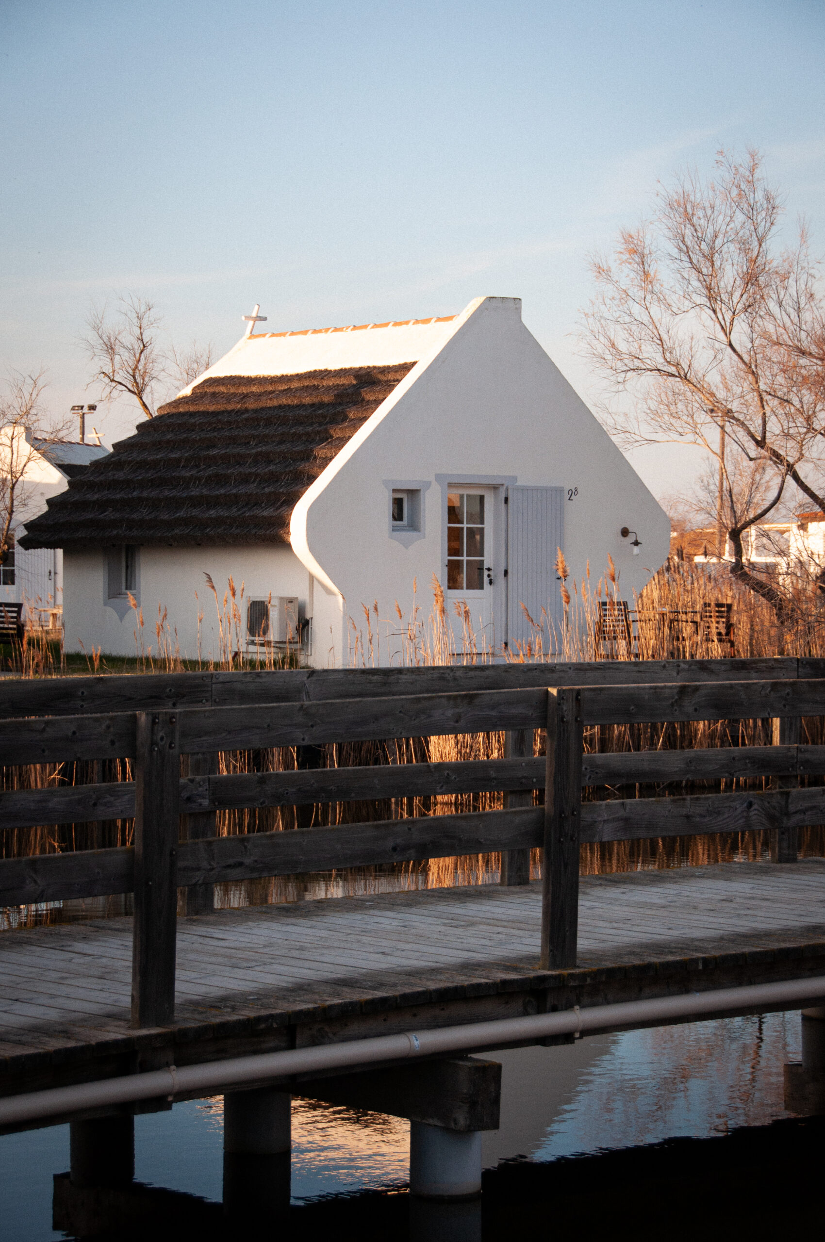 photo de paysage en camargue