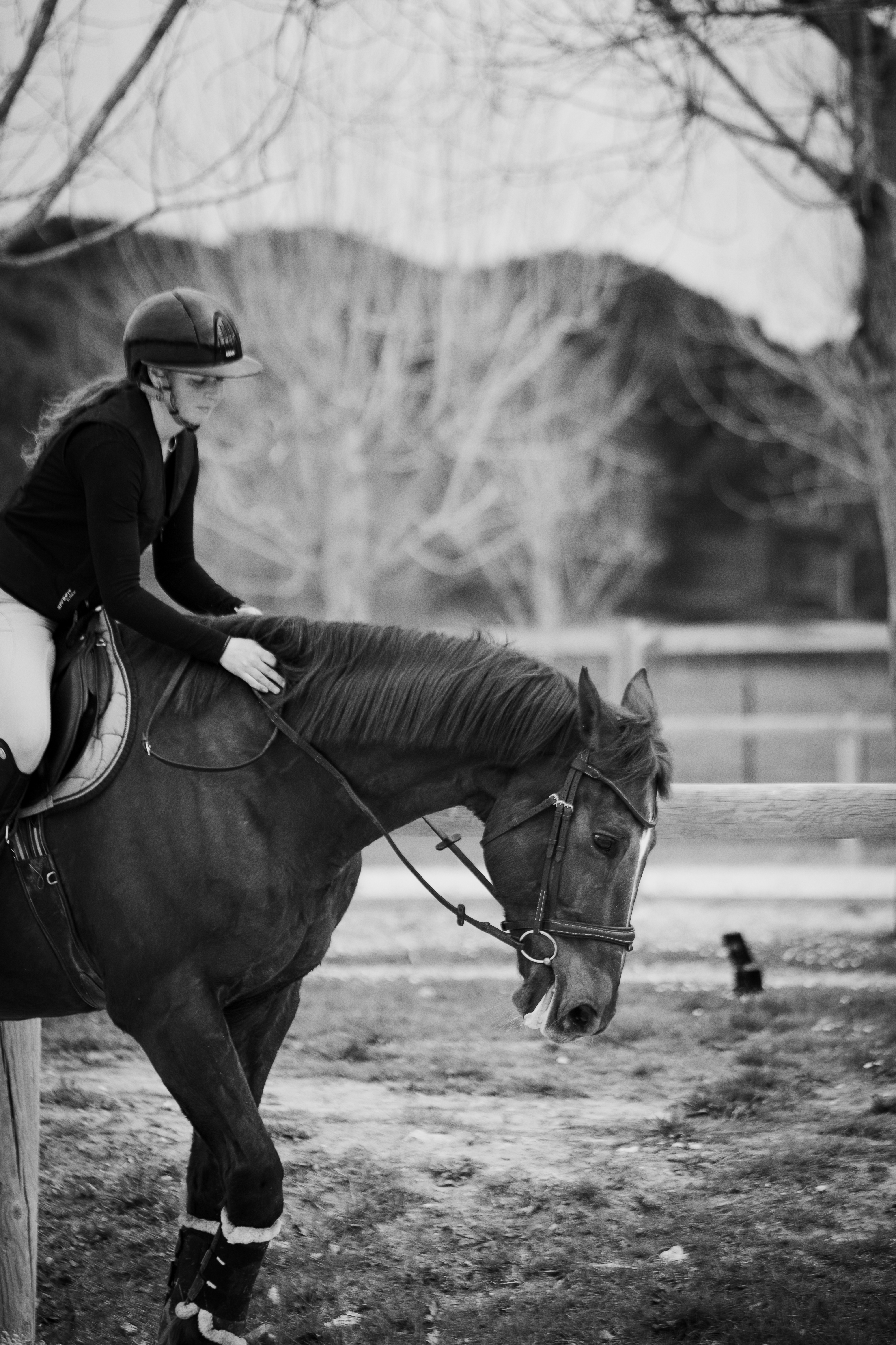 shooting corporate avec norine cavaliere et monitrice d'équitation aux ecuries de notre dame dans le var